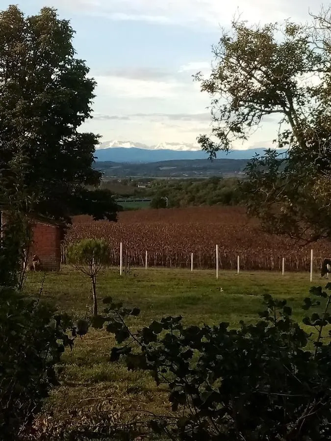 Domaine De Buffevent Hotel Cintegabelle 0*,