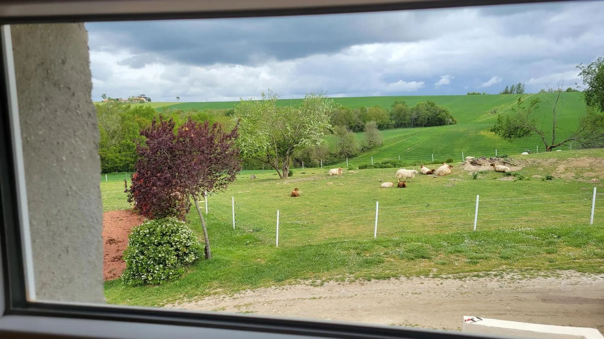 Domaine De Buffevent Hotel Cintegabelle France